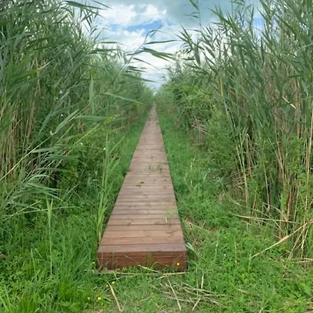 Vakantiehuis Voeroesparti Ueduelohaz