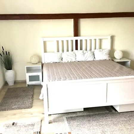 Voeroesparti Ueduelohaz Ferienhaus