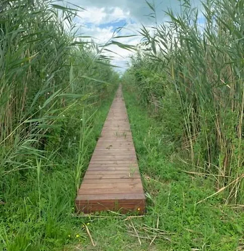 Ferienhaus Voeroesparti Ueduelohaz