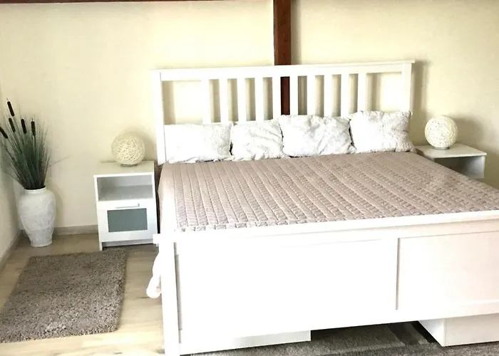 Voeroesparti Ueduelohaz Ferienhaus