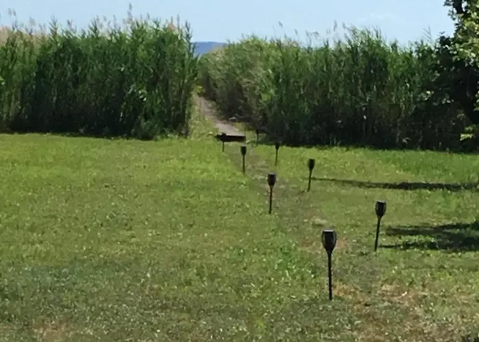 Voeroesparti Ueduelohaz Ferienhaus Paloznak